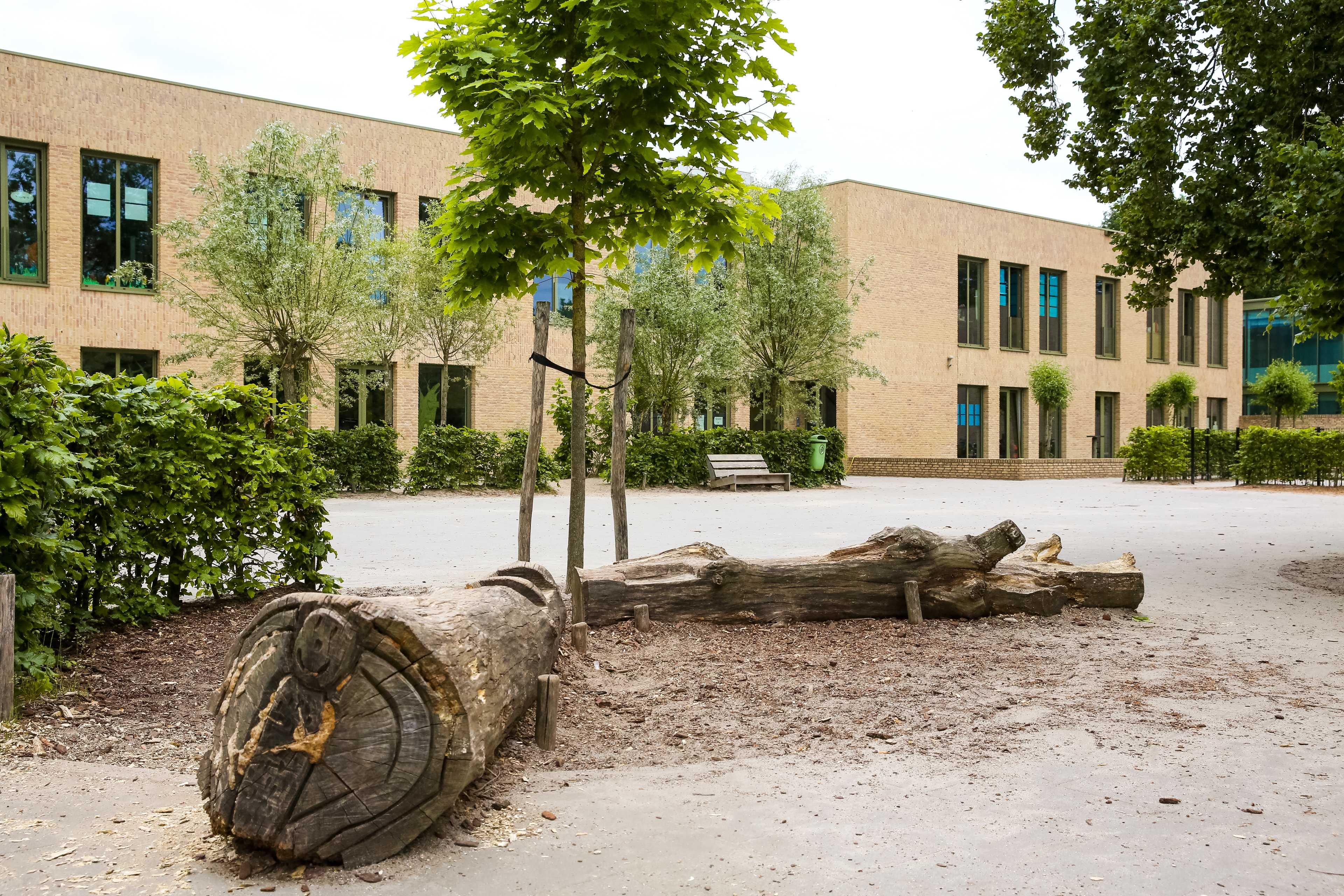 Schoolplein van Mariaschool in Vinkel (Gem. 's-Hertogenbosch) met bomen en houten elementen. Schoolplein van Mariaschool in Vinkel (Gem. 's-Hertogenbosch) met bomen en houten elementen.