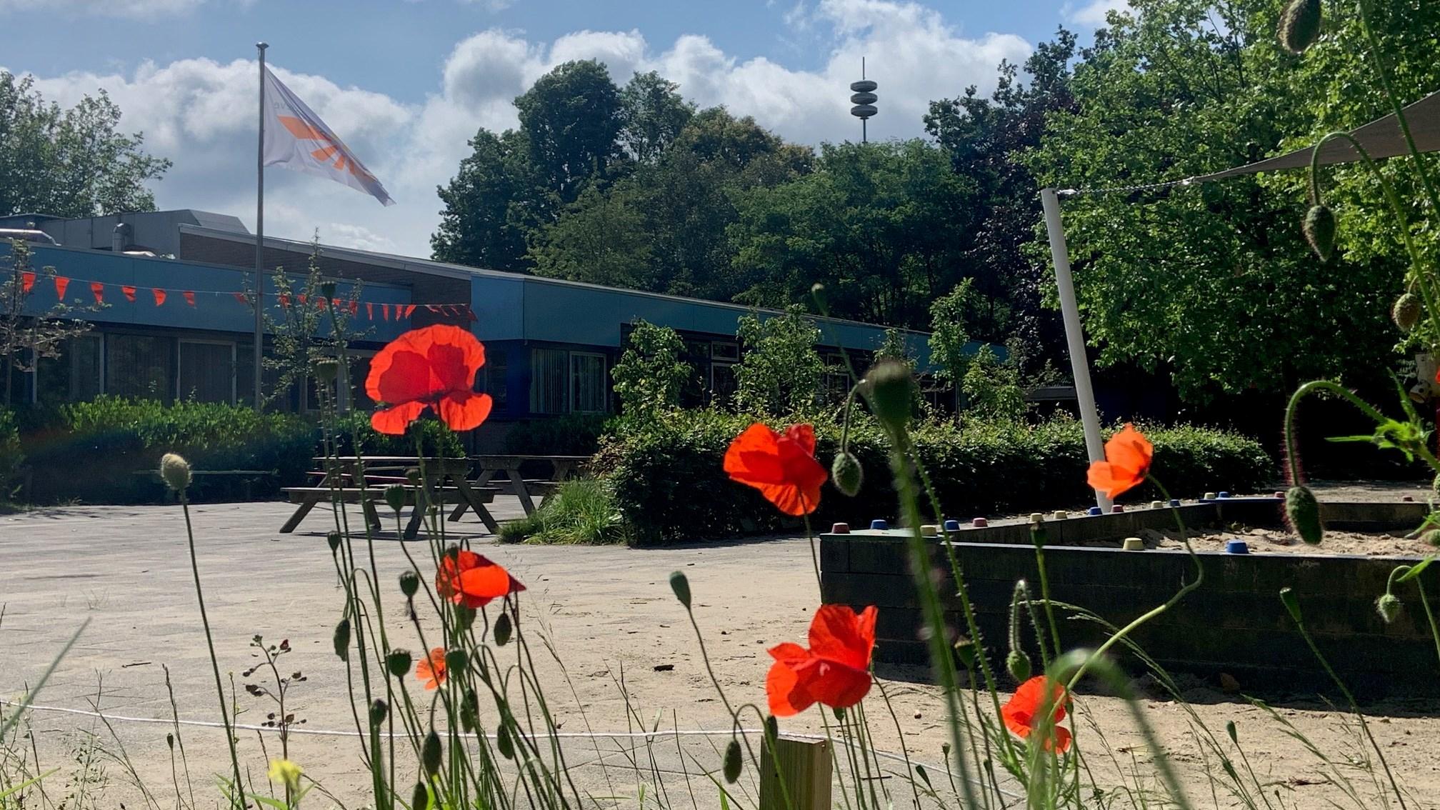 Schoolplein van Rooms Katholieke Basisschool De Vrijhoeve in Sprang-Capelle met rode bloemen en een vlag. Schoolplein van Rooms Katholieke Basisschool De Vrijhoeve in Sprang-Capelle met rode bloemen en een vlag.