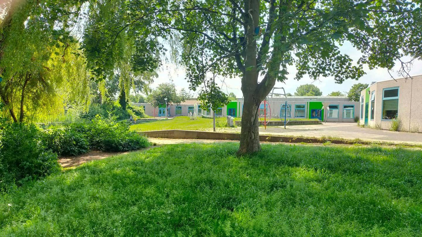 Schoolplein van SBO De Watertuin in Almere met groene gras en speeltoestellen. Schoolplein van SBO De Watertuin in Almere met groene gras en speeltoestellen.