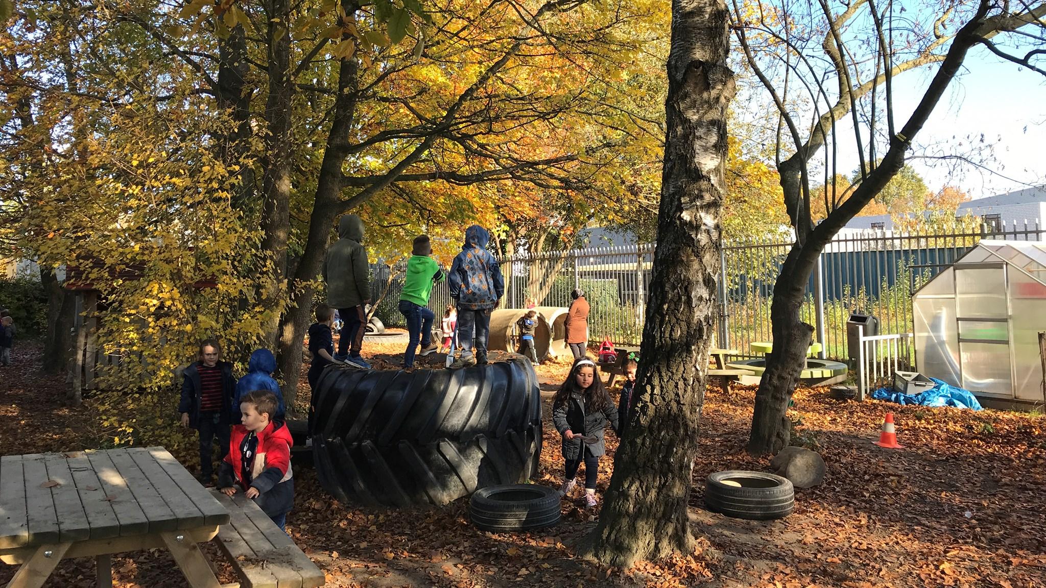 Speelers op het schoolplein van Montessori Basisschool Roermond in Roermond tijdens de herfst. Speelers op het schoolplein van Montessori Basisschool Roermond in Roermond tijdens de herfst.