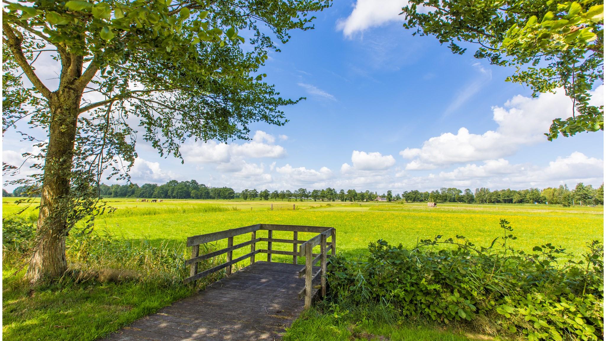 SWS De Gavelander in Oostwold (Gem. Westerkwartier) biedt een prachtig uitzicht op de groene velden en de natuur rondom de school. SWS De Gavelander in Oostwold (Gem. Westerkwartier) biedt een prachtig uitzicht op de groene velden en de natuur rondom de school.