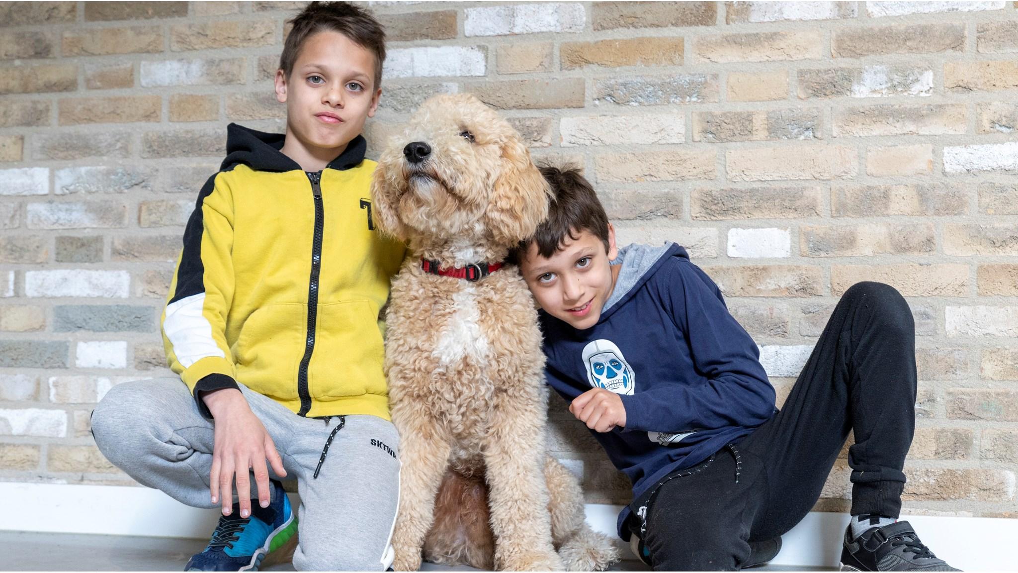 Twee jongens en een hond poseren samen voor een muur in de school SO Fier in Utrecht. Twee jongens en een hond poseren samen voor een muur in de school SO Fier in Utrecht.