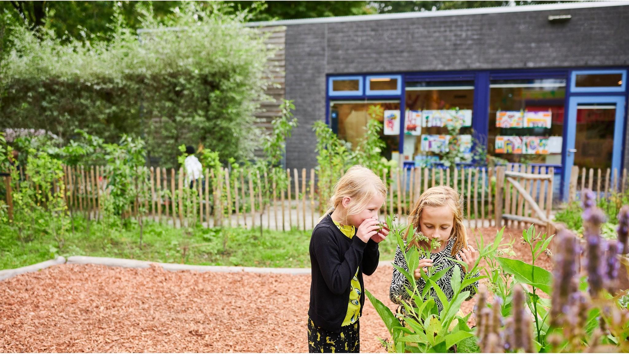 Twee meisjes verkennen de tuin van de Bredero-School in Groningen. Twee meisjes verkennen de tuin van de Bredero-School in Groningen.