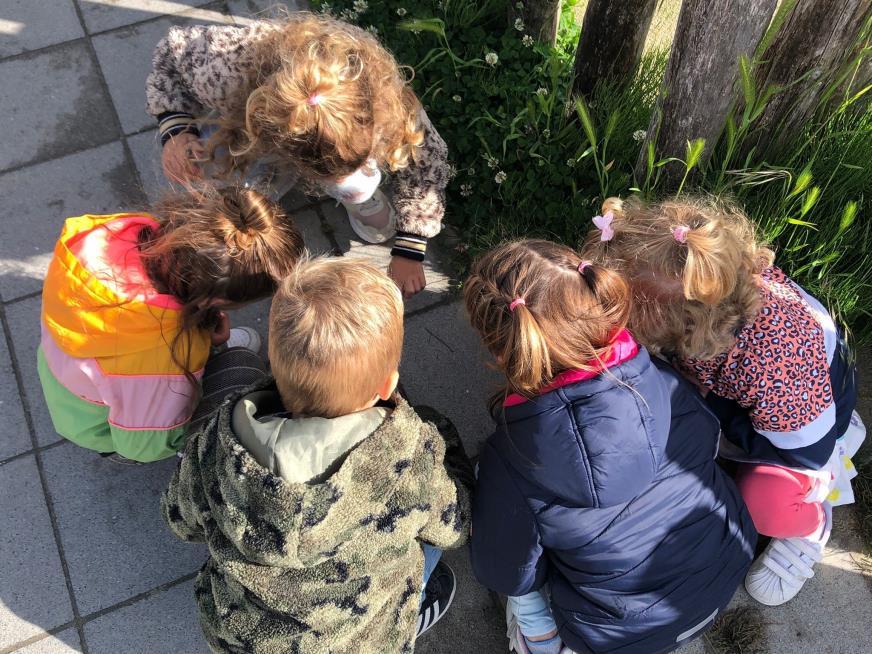Vijf kinderen van 'T Paalhoofd' in Zoutelande verkennen nieuwsgierig de grond op het schoolplein. Vijf kinderen van 'T Paalhoofd' in Zoutelande verkennen nieuwsgierig de grond op het schoolplein.