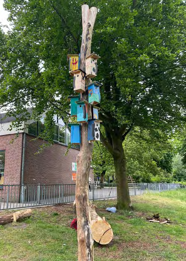 Vogelnestkasten op de boom in het schoolplein van Protestants Christelijke Basisschool De Schakel in Leersum. Vogelnestkasten op de boom in het schoolplein van Protestants Christelijke Basisschool De Schakel in Leersum.
