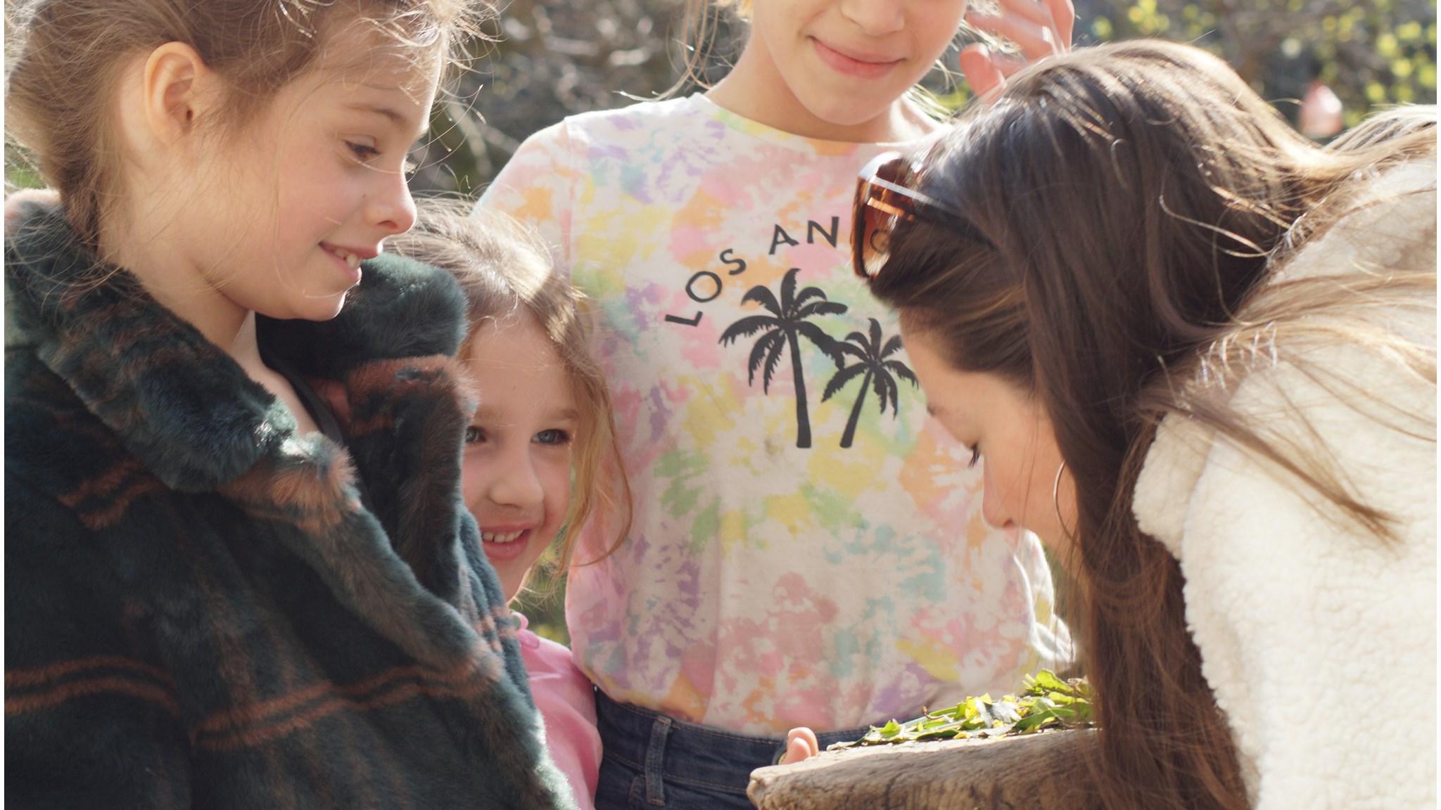 Zoektocht naar natuur met kinderen van Basisschool Anne Frank 6e Montessori-School in Amsterdam op het schoolplein. Zoektocht naar natuur met kinderen van Basisschool Anne Frank 6e Montessori-School in Amsterdam op het schoolplein.